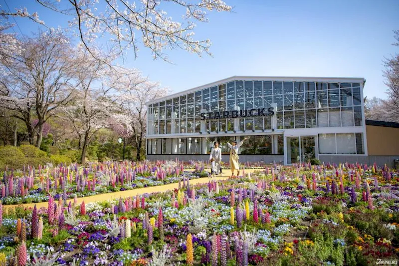 Công viên hoa Hana Biyori chắc chắn sẽ đem lại nhiều bức hình tuyệt diệu