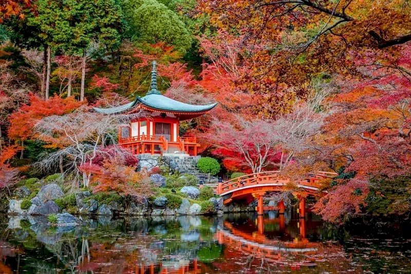 Kyoto là cố đô nổi tiếng với trải nghiệm tắm Onsen