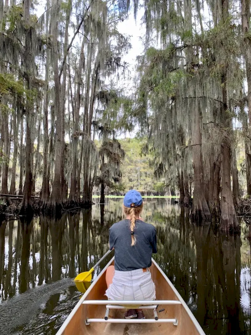 Hành khách tha hồ trải nghiệm chèo thuyền kayak qua những cánh rừng huyền bí