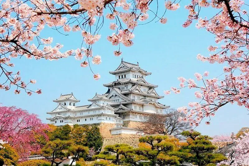 Lâu đài Himeji - Địa điểm du lịch Nhật Bản
