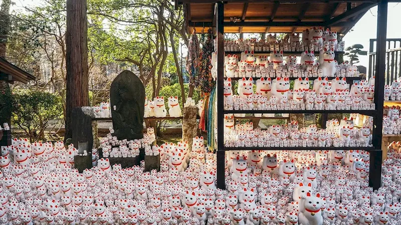 Ngôi đền Nhật Bản dành cho loài mèo